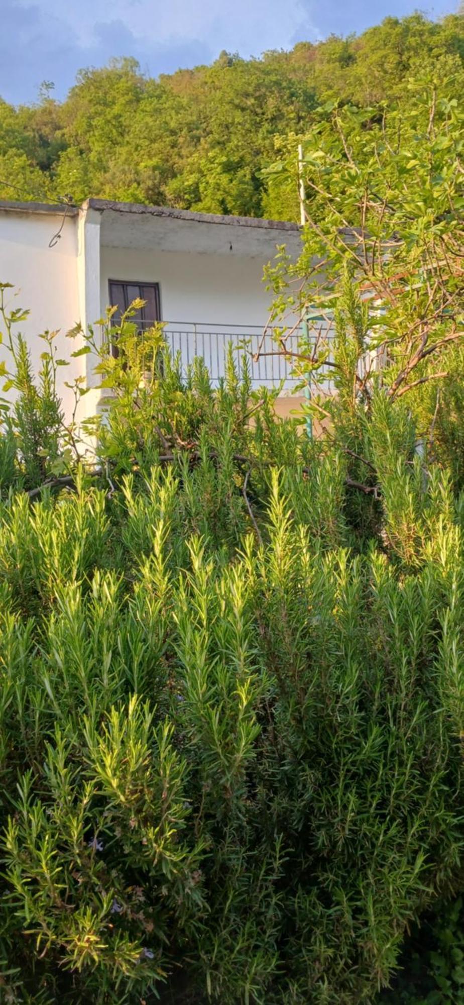 فيلا Etno House Mira فيربازار الغرفة الصورة